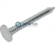 Гвозди кровельные цинк с большой гол.4,2*100 | «ТАТМЕТИЗ» Гвозди кровельные цинк с большой гол.4,2*100 - магазин крепежа «ТАТМЕТИЗ»